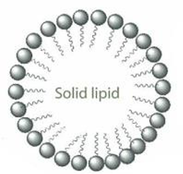 DS-HydroCeramide 50(图1)