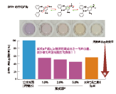 紫式部®(图4)