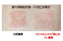 桑白皮(图6)
