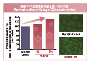桜美精®(图2)