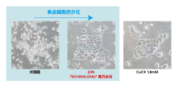 海月水母(图3)