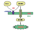 AA2GTM(图1)