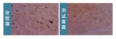 DS-CERAMIDE AP(图1)