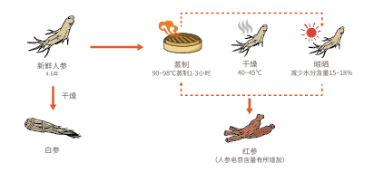 贵妇红参(图1)
